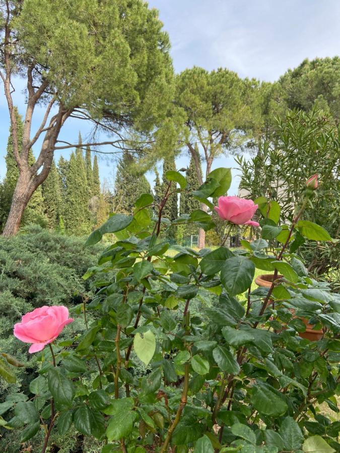 B&B Castello Machiavelli Ozzano dell'Emilia Exterior photo